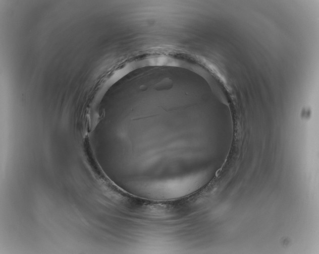 X0000091640069200709060946