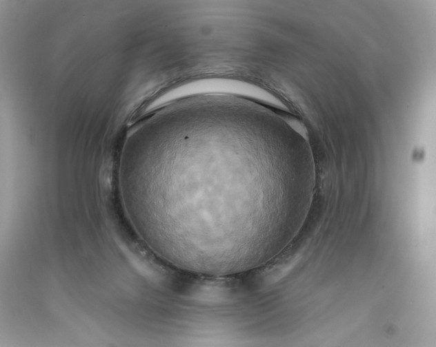 X0000091640072200709060947
