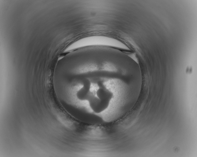 X0000091640073200709060947
