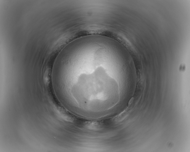 X0000091640074200709060947