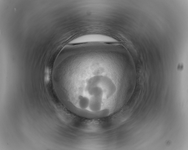 X0000091640075200709060947