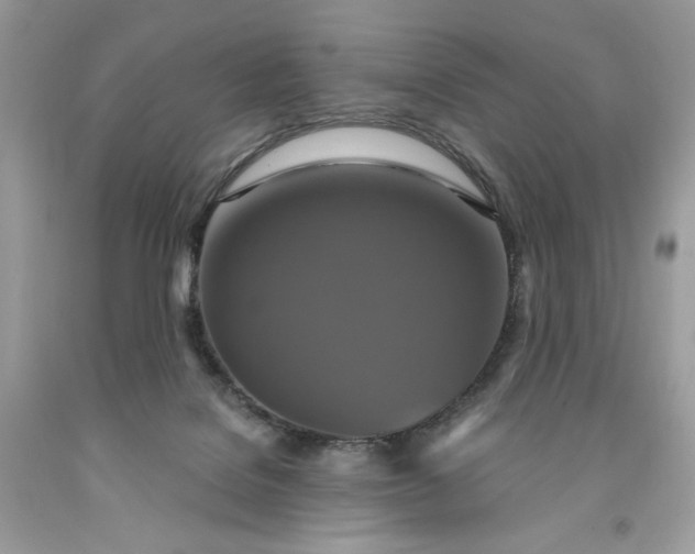 X0000091640076200709060947
