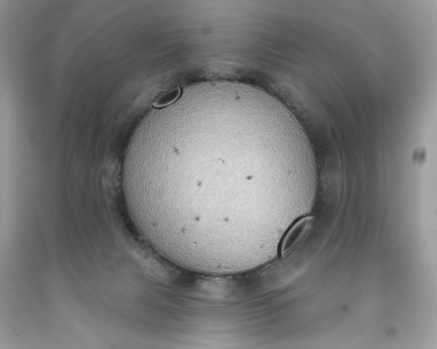 X0000091640079200709060947