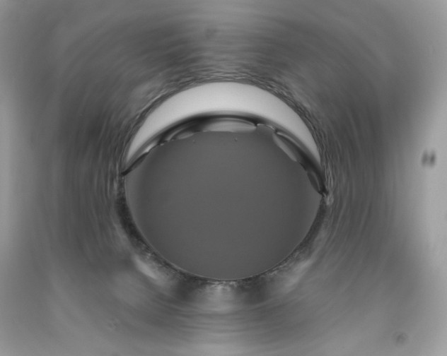 X0000091640080200709060947