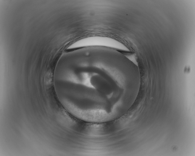 X0000091640081200709060947