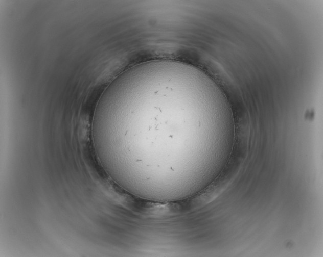 X0000091640083200709060947
