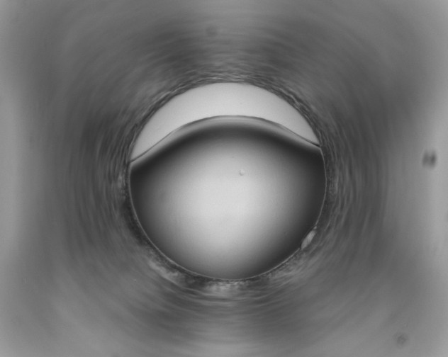 X0000091640084200709060947