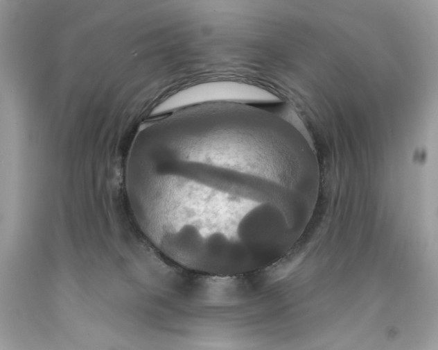 X0000091640085200709060947
