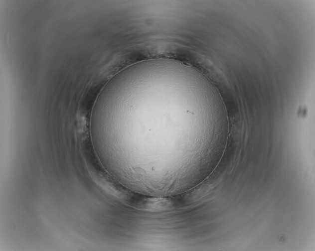 X0000091640087200709060947