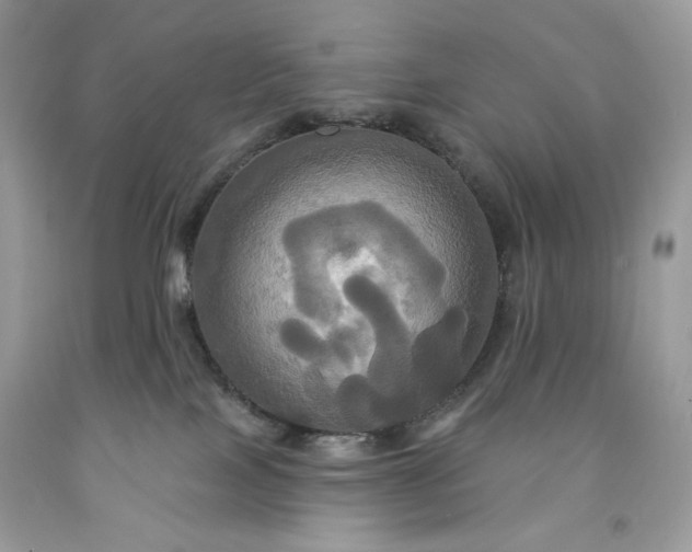 X0000091640089200709060947