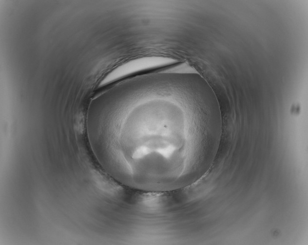 X0000091640090200709060947