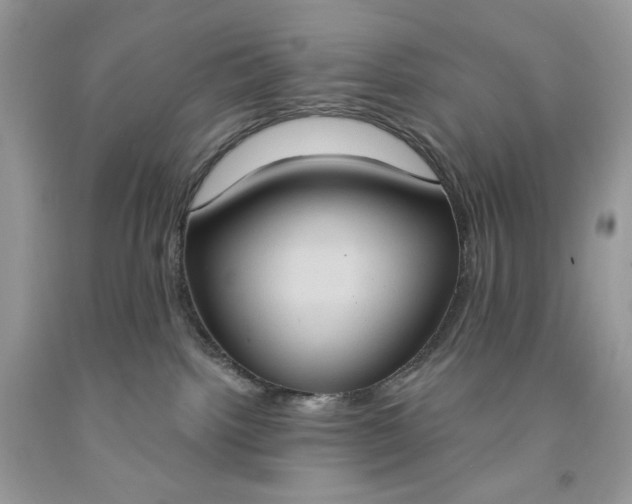 X0000091640092200709060947