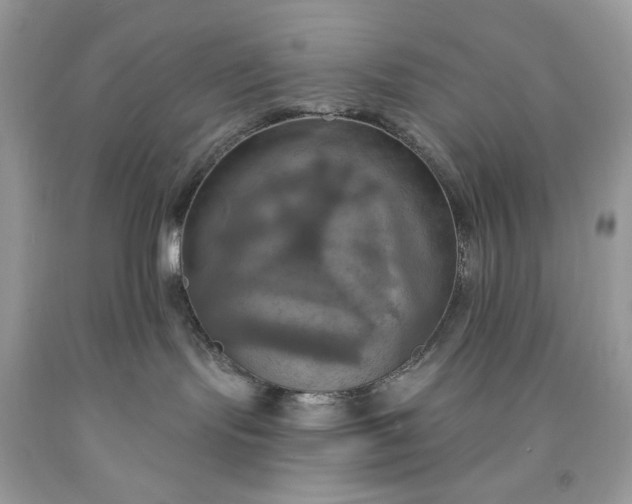 X0000091640095200709060947