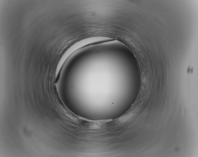 X0000091640096200709060947