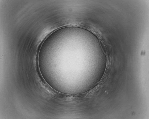 X0000091640098200709060946