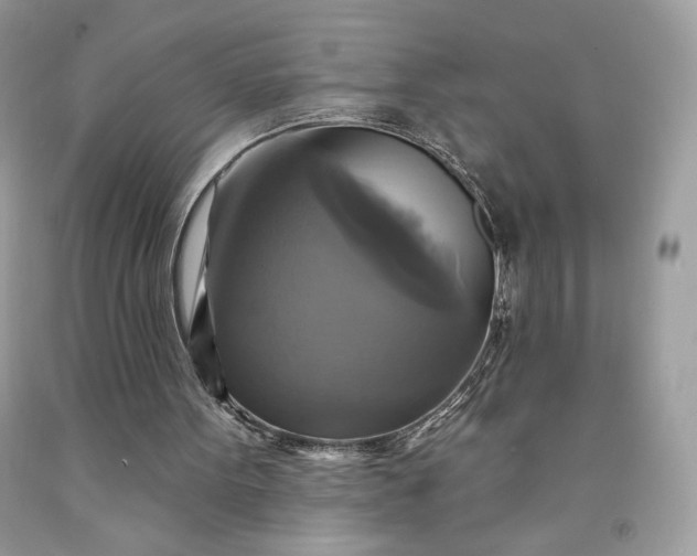 X0000091640099200709060946