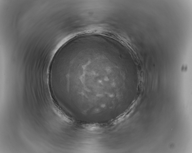 X0000091640100200709060946
