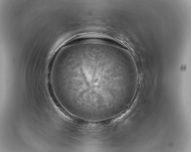 X0000091640101200709060946