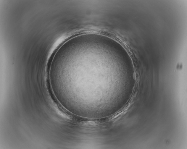 X0000091640102200709060946