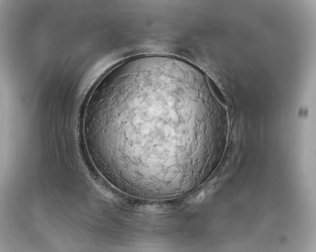 X0000091640103200709060946