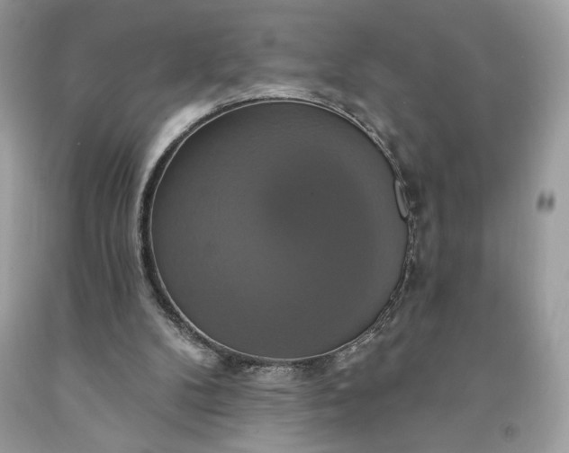 X0000091640104200709060946