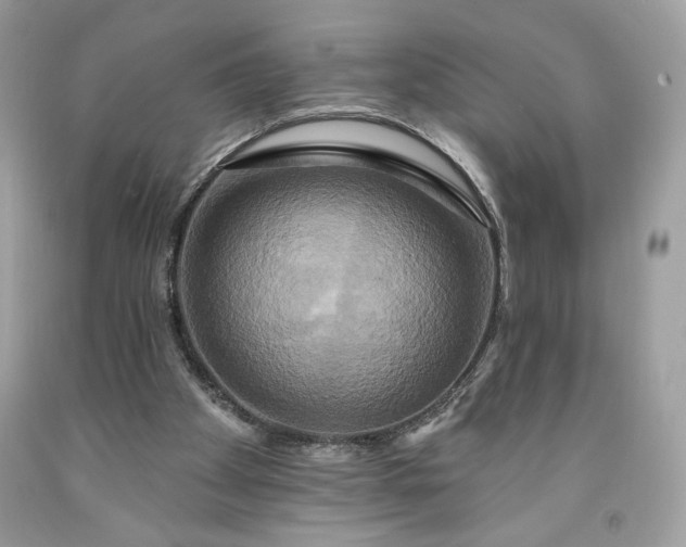 X0000091640105200709060946