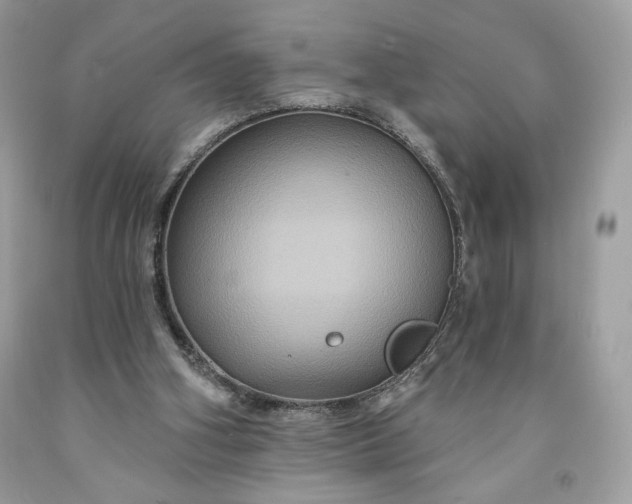 X0000091640106200709060946