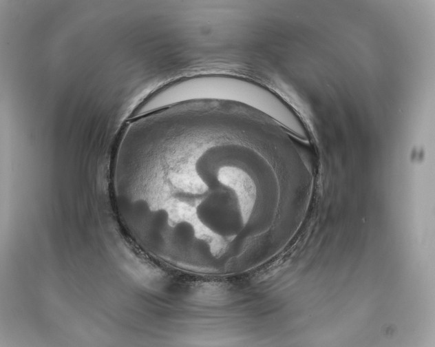 X0000091640107200709060946