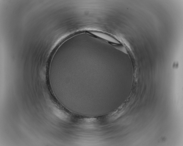 X0000091640108200709060946