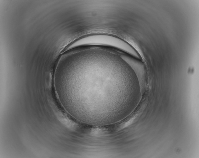 X0000091640109200709060946