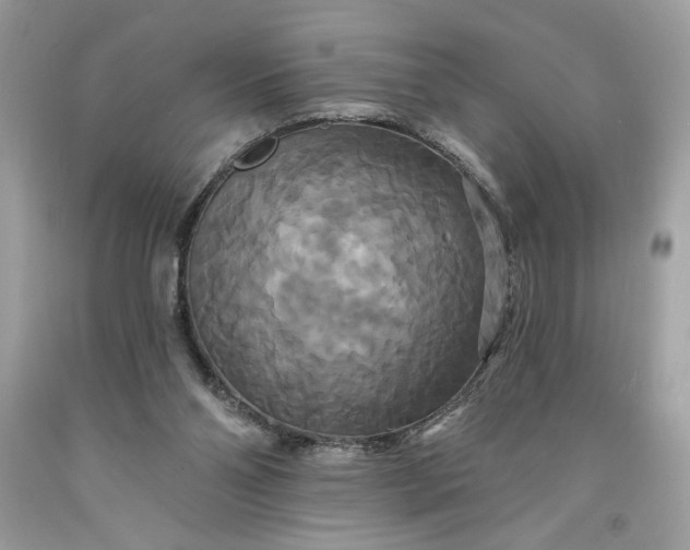 X0000091640110200709060946