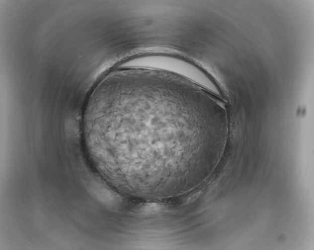 X0000091640111200709060946