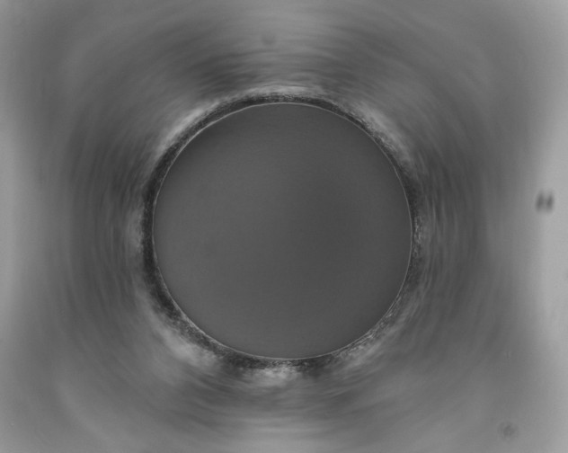 X0000091640112200709060946