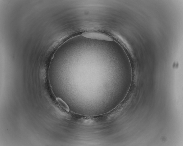X0000091640113200709060946