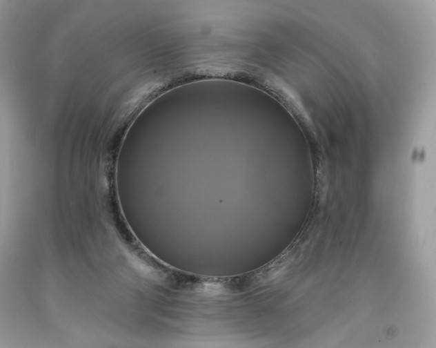 X0000091640114200709060946