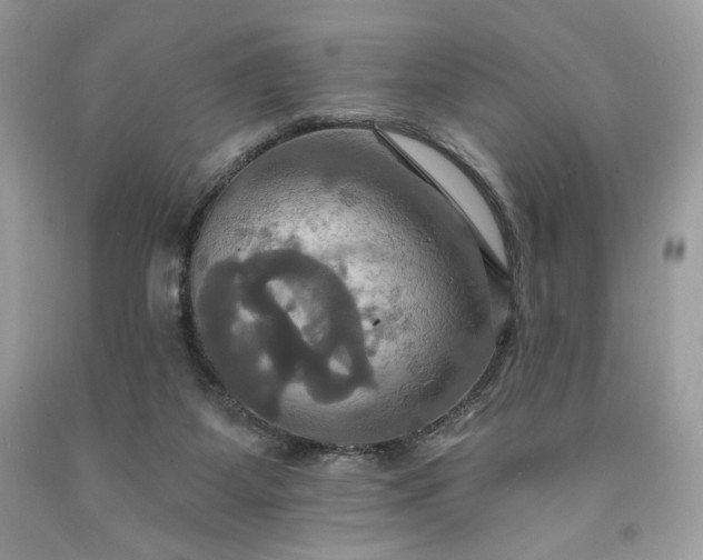 X0000091640115200709060946