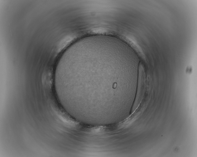 X0000091640116200709060946