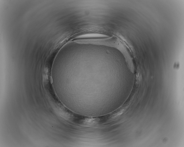 X0000091640117200709060946