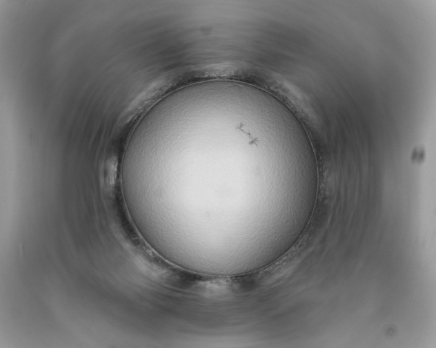X0000091640118200709060946
