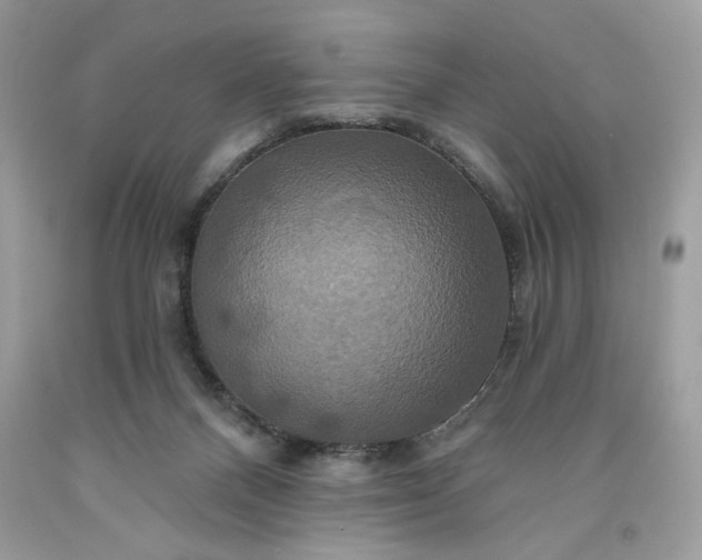 X0000091640120200709060946