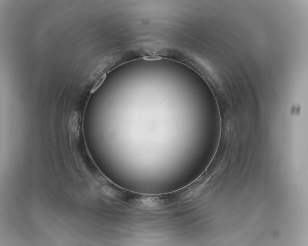 X0000091640121200709060946