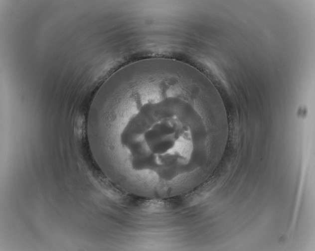 X0000091640123200709060946