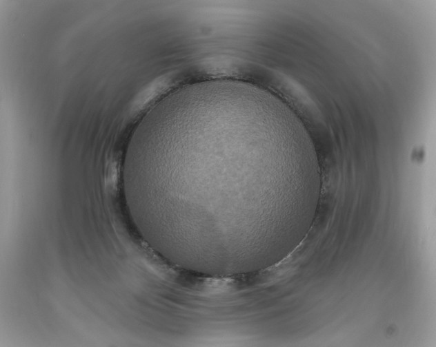 X0000091640124200709060946