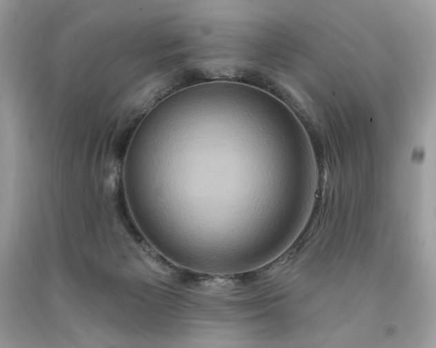 X0000091640125200709060946