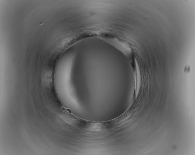 X0000091640127200709060946