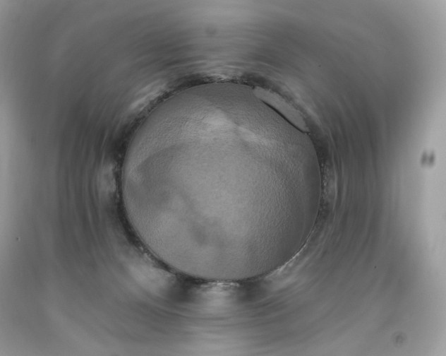 X0000091640128200709060946