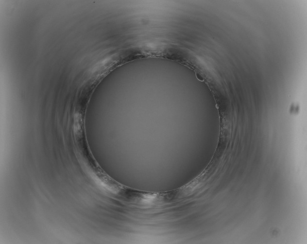 X0000091640130200709060946