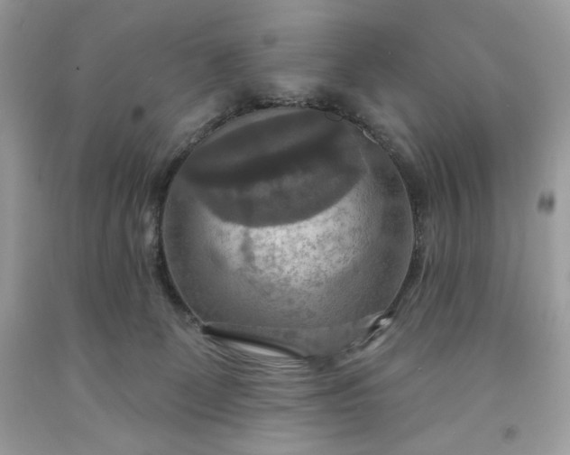 X0000091640131200709060946