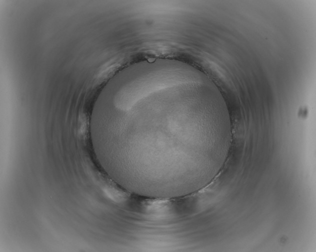 X0000091640132200709060946
