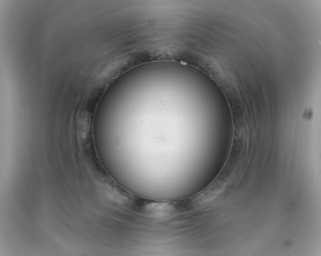 X0000091640133200709060946